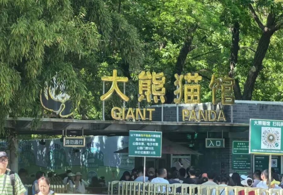 Beijing: Private Transfer to Great Wall & City Highlights - Price and value: why $67 can work for a private day